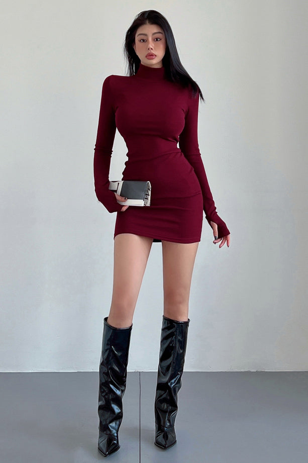 Women's Fashion Mock Neck Long Sleeve Mini Dress Club Party Dresses TOP SHOW Women's Fashion Mock Neck Long Sleeve Mini Dress Club Party Dresses TOP SHOW