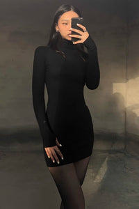 Solid High Neck Long Sleeve Bodycon Dress