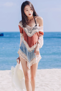 Lace Hollow Out V-Neck Long Sleeve Blouse Beachwear