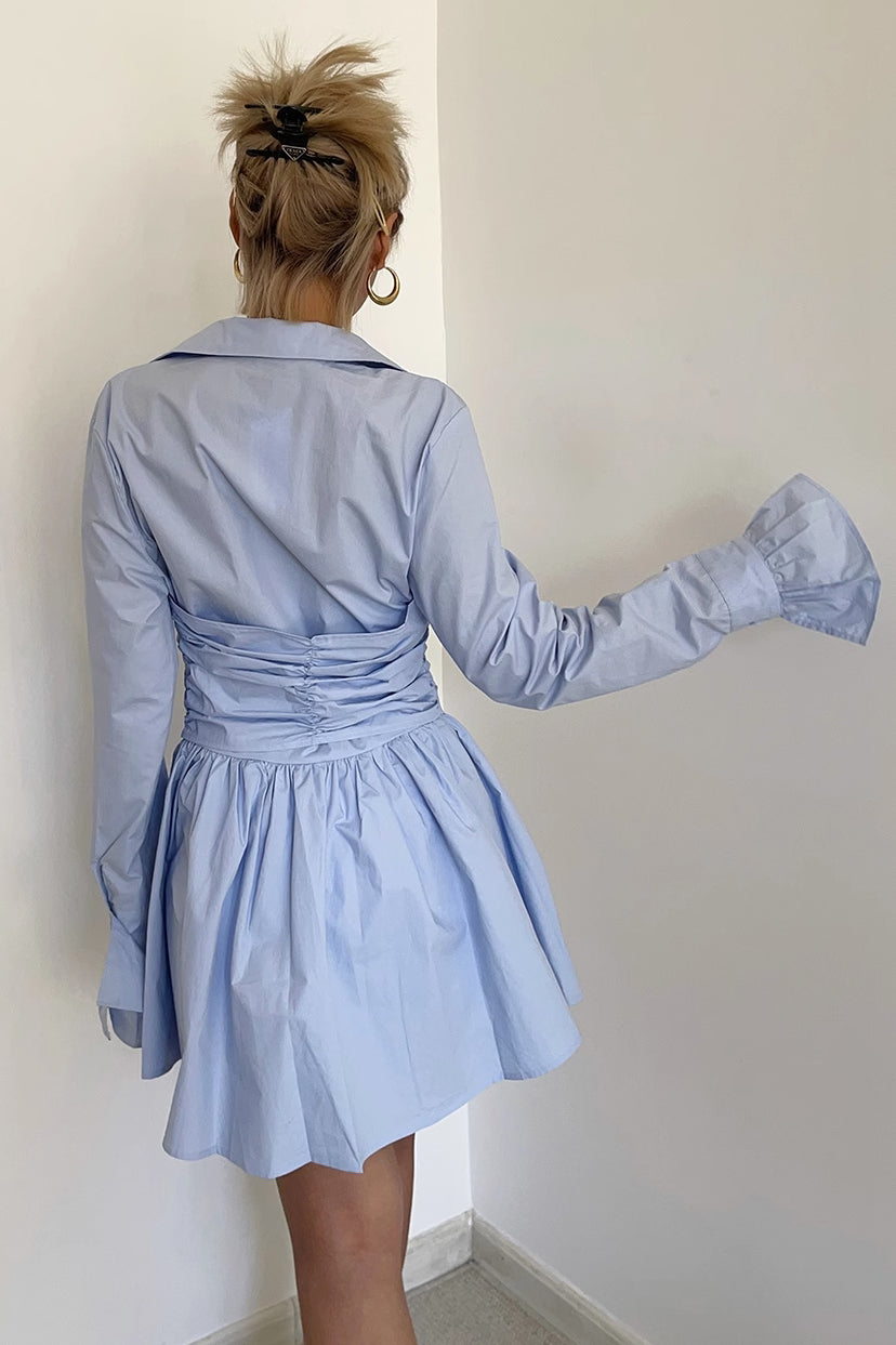 Buttoned Front Pleated Dress
